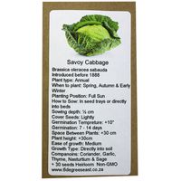 6 Degrees East Heirloom Veg Seeds - Cabbage - Savoy